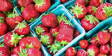 A close up of strawberries in blue containers