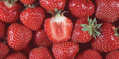 A close up of some strawberries with one cut in half