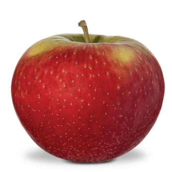 Royal Red Honeycrisp