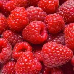 A close up of many raspberries in a bowl